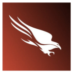 CrowdStrike Logo