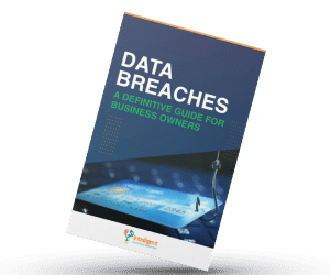 Data Breaches eBook (1)
