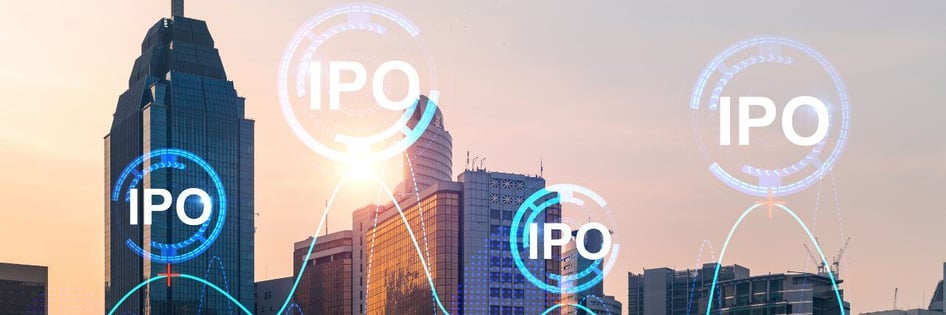 Companies transitioning to an IPO with MSPs help