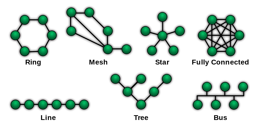 Computer Network Topologies