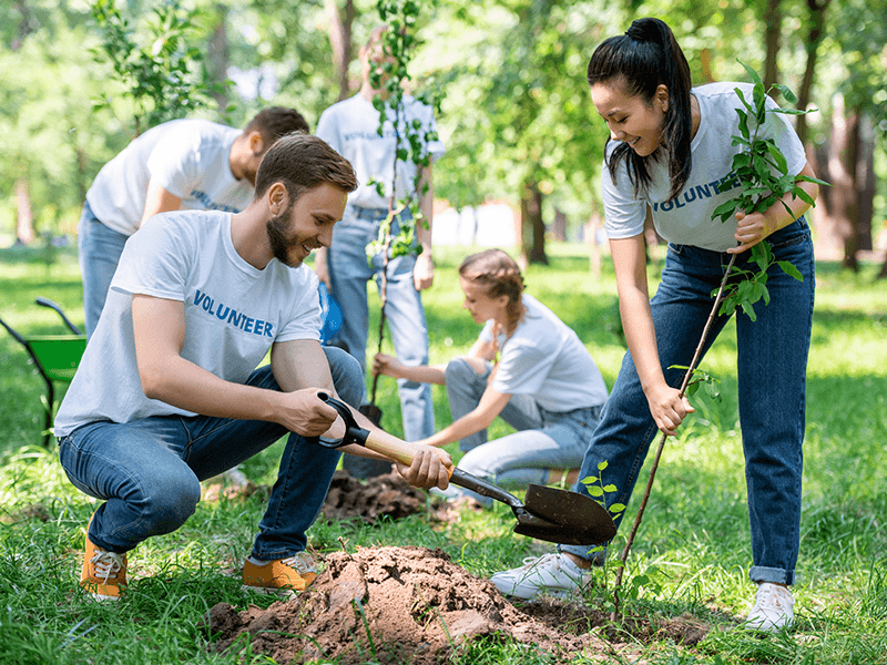 Non-Profit-Planting