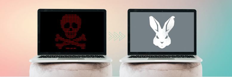 Petya and Bad Rabbit Ransomware