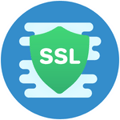 SSL icon