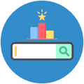 Search Engine Ranking