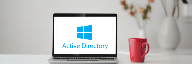 What is Active Directory