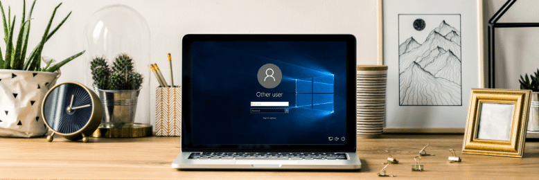Windows Local User Profile