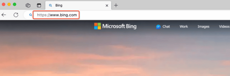 entering bing.com in the url address