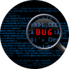software bug