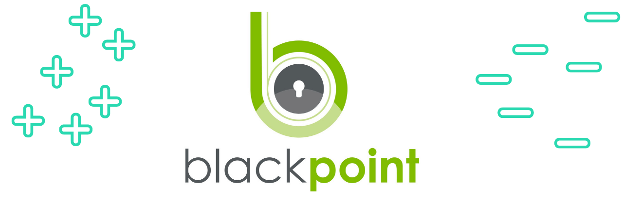 Advantages and Disadvantages of Blackpoint 24/7 Security Monitoring