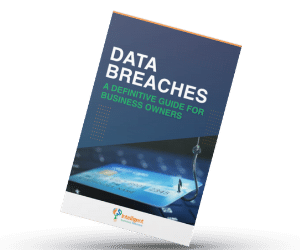 Data Breaches: A Definitive Guide for Business Owners